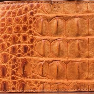 genuine-crocodile-wallet-for-men